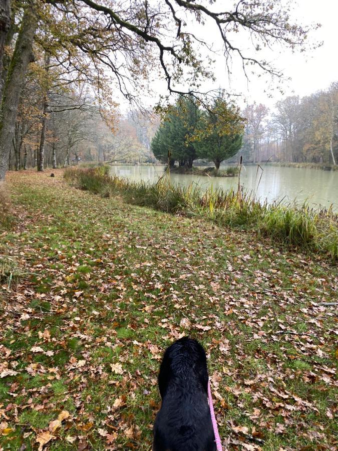 Domaine Nature Vacances Bernécourt 外观 照片